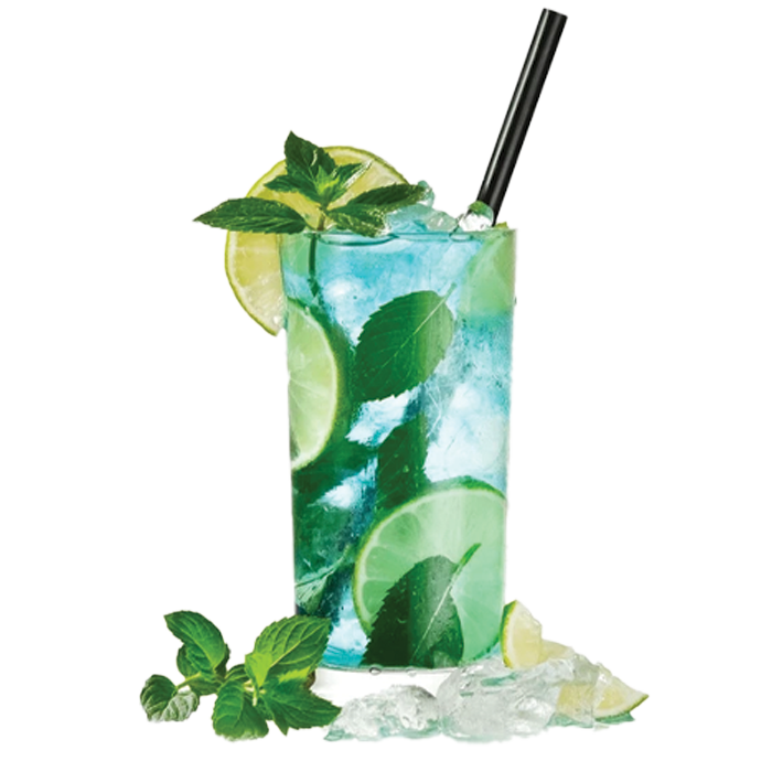 JOOZY SPL MOJITO